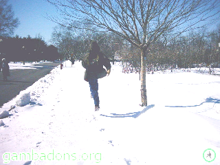 Gambadeur laissant sa trace dans la neige