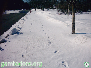 Piste de gambadeurs